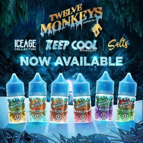 12 Monkeys Ice Age Nic Salt