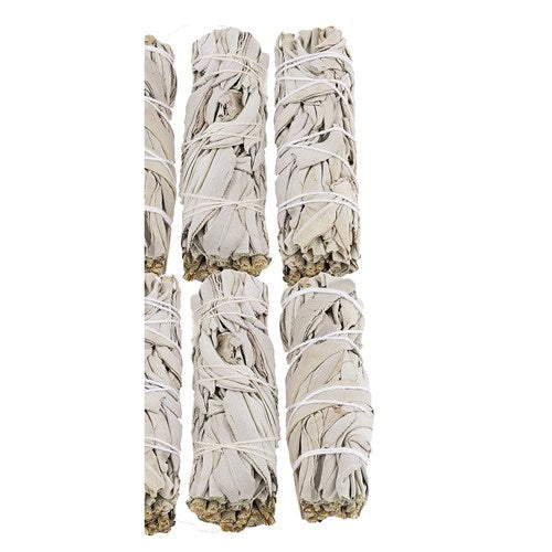 Old Soul Organics 4" Sage