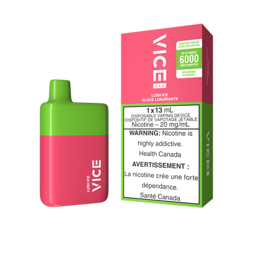 Vice Box 6000 Disposable