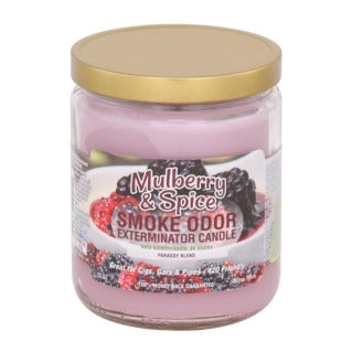 16 oz Smoke Odor Exterminator Candle