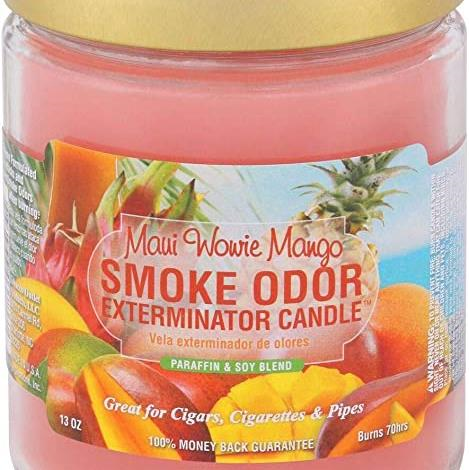 16 oz Smoke Odor Exterminator Candle
