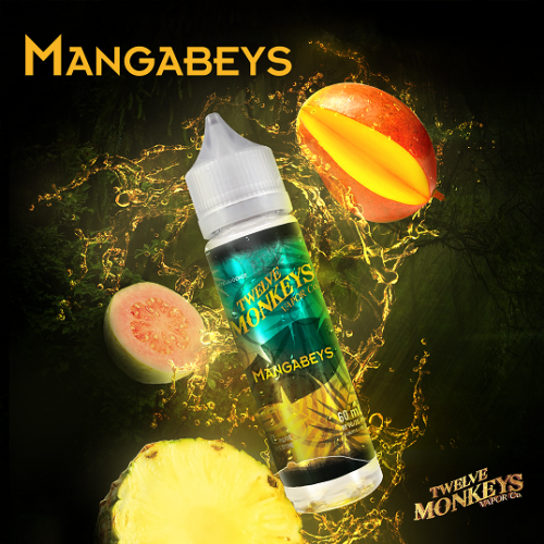 12 Monkeys 60ml Freebase