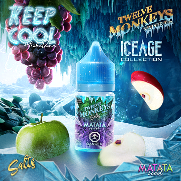 12 Monkeys Iced 60ml Freebase