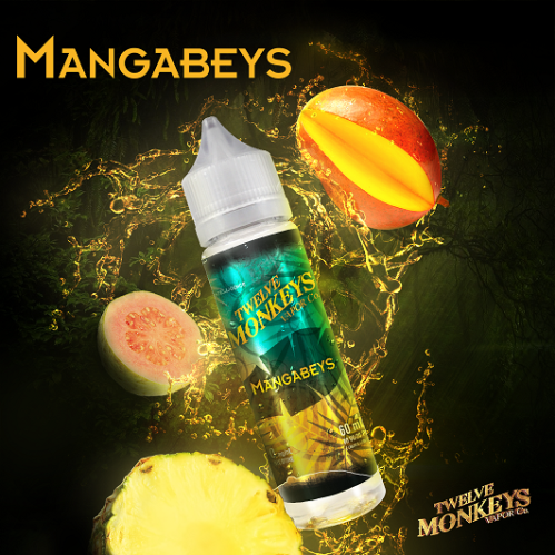 12 Monkeys 60ml Freebase