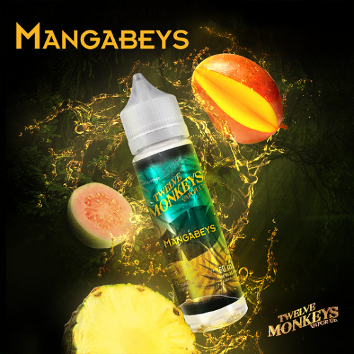 12 Monkeys 60ml Freebase